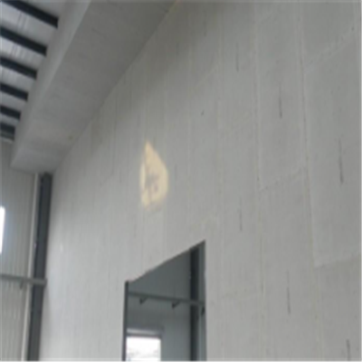 彭阳宁波ALC板|EPS加气板隔墙与混凝土整浇联接的实验研讨